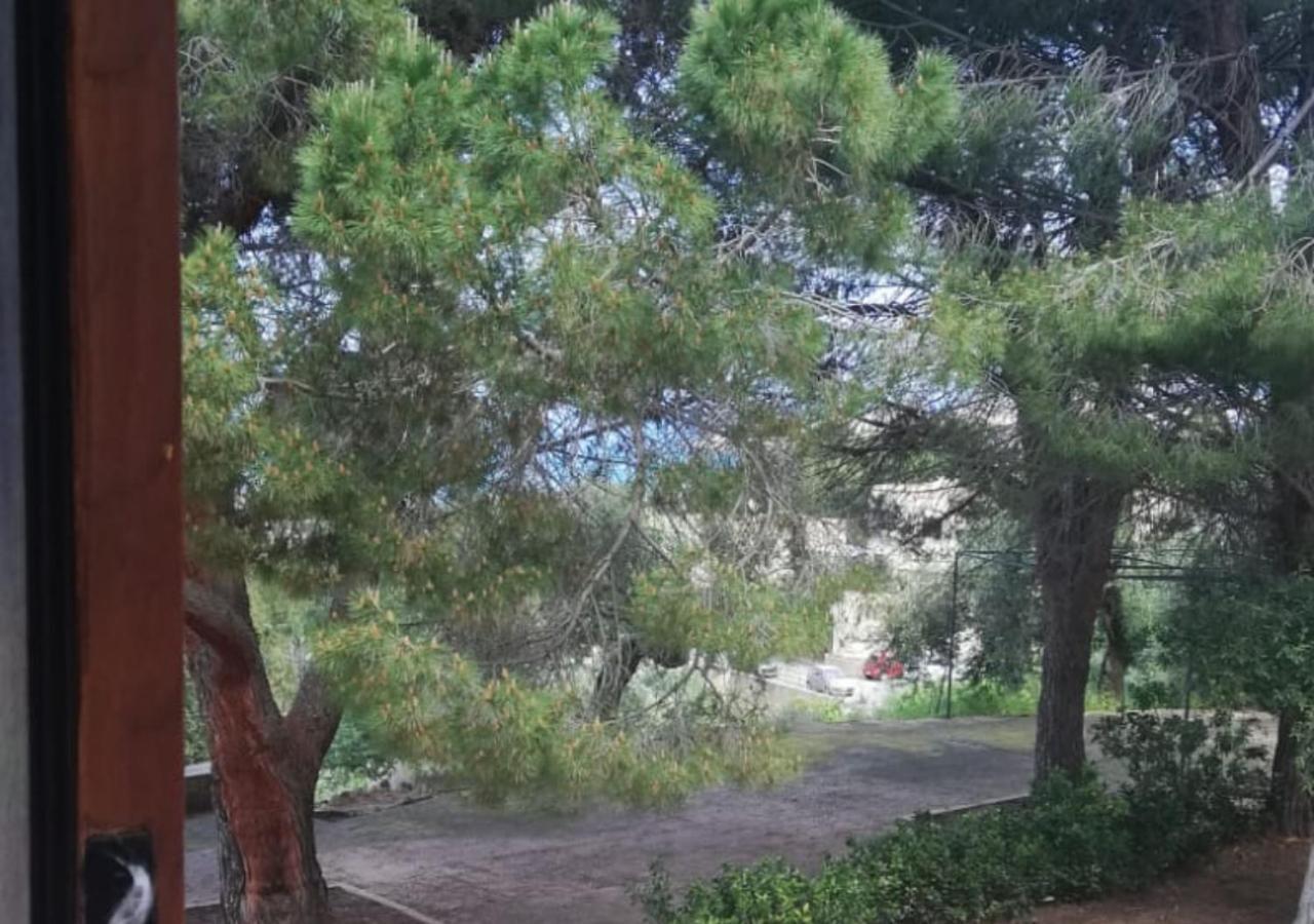 Villa Del Vescovo 체팔루 외부 사진